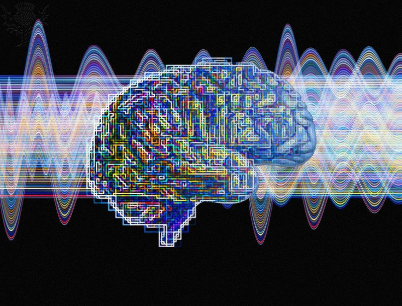 Lifespan Neural Dynamics Group