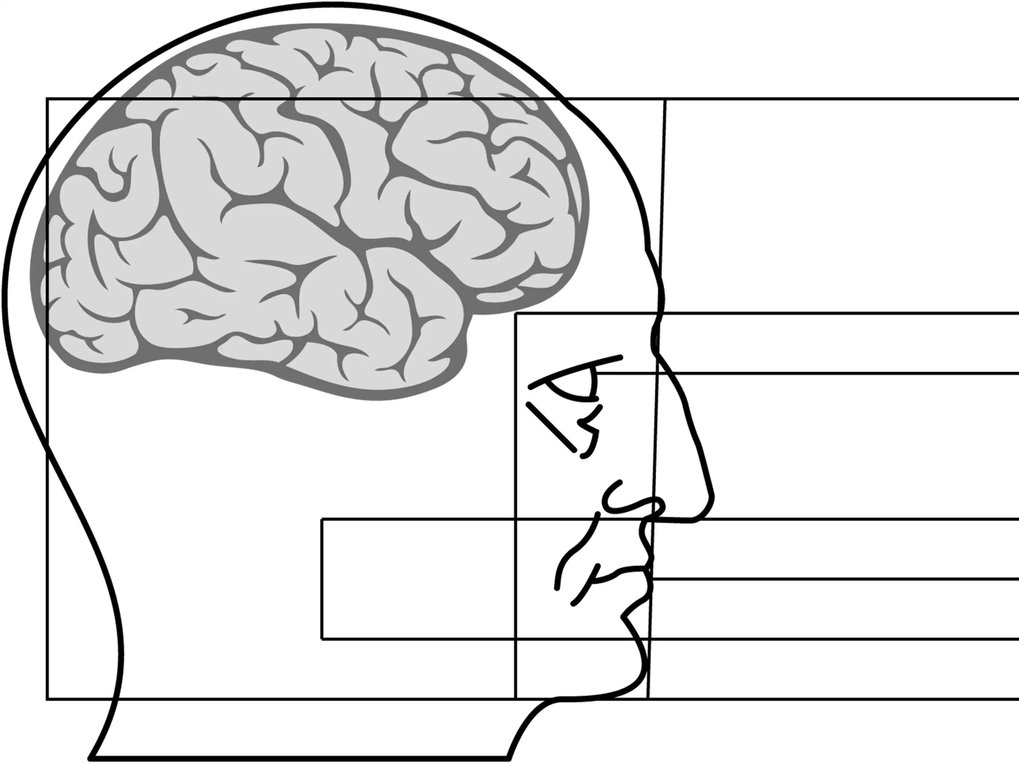 Learning Memory & Decision Lab